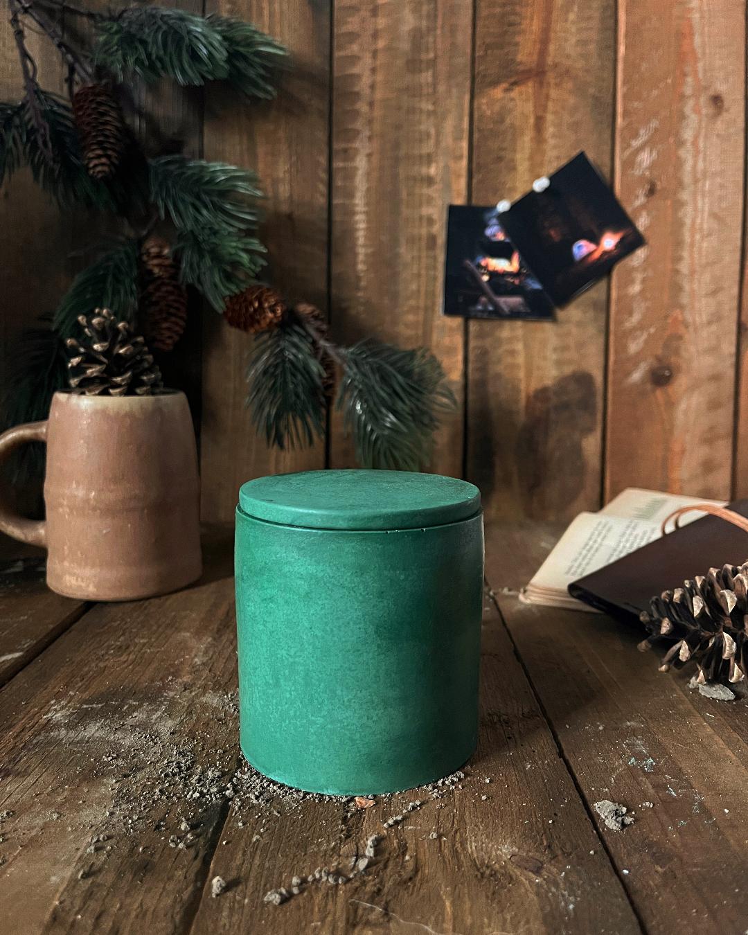 Pin de pădure - imagine 2