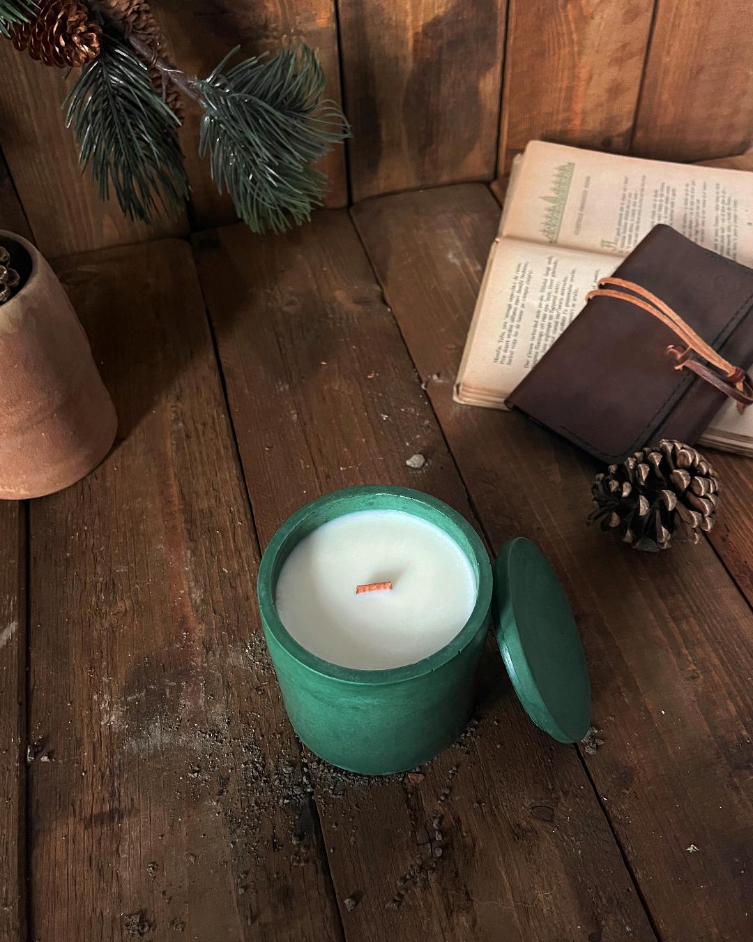 Pin de pădure - imagine 3