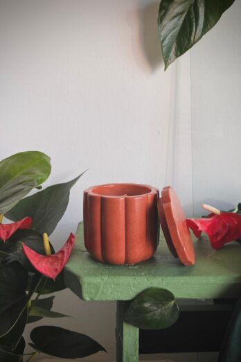 Flori tropicale-Grădina dragonului