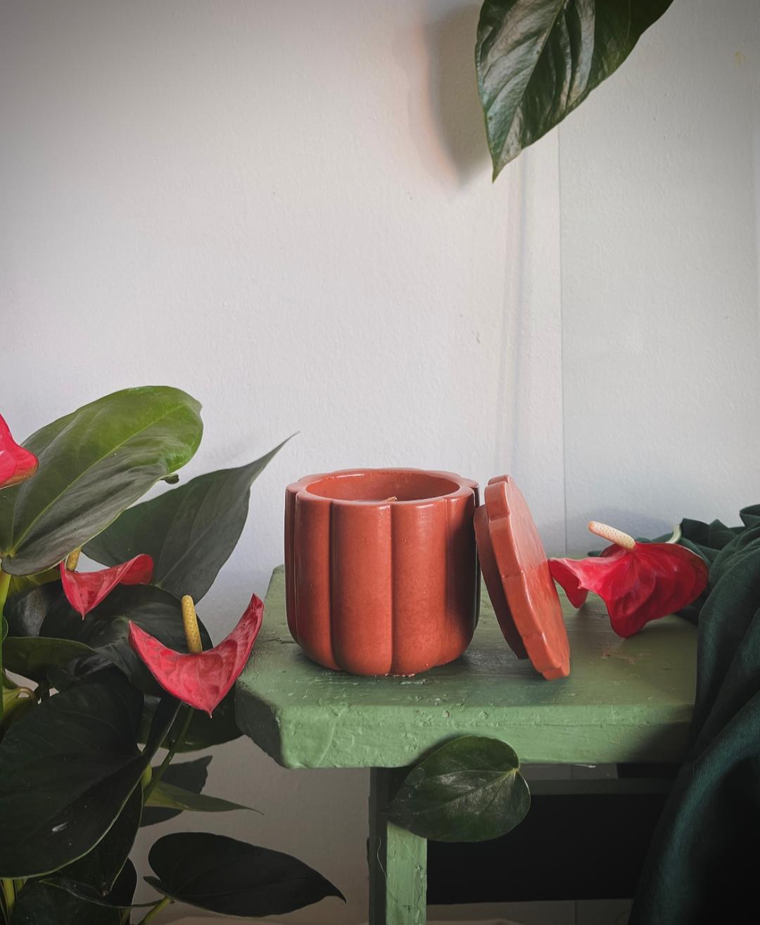 Flori tropicale-Grădina dragonului