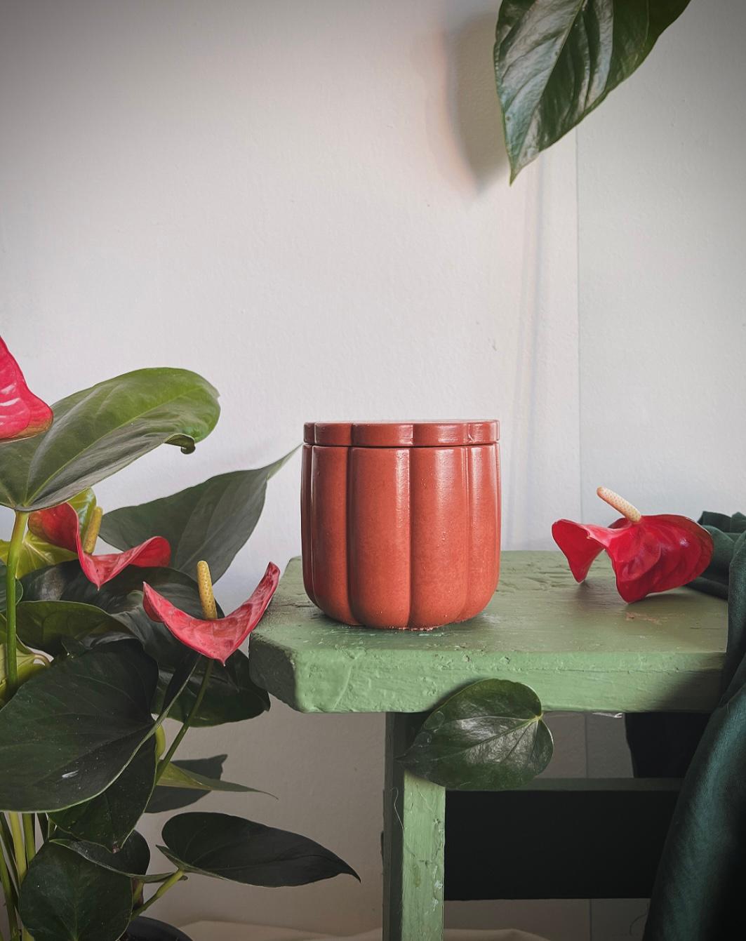 Flori tropicale-Grădina dragonului - imagine 3