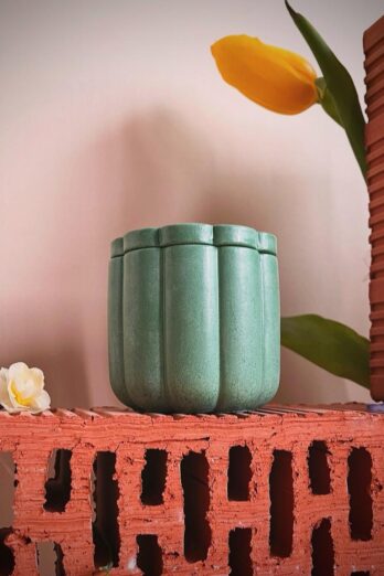 Floarea verde-Secretul primăverii