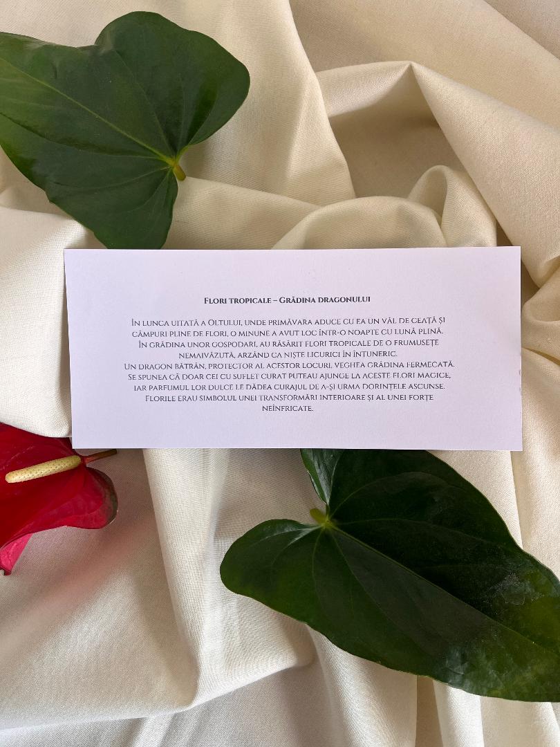 Flori tropicale-Grădina dragonului - imagine 4
