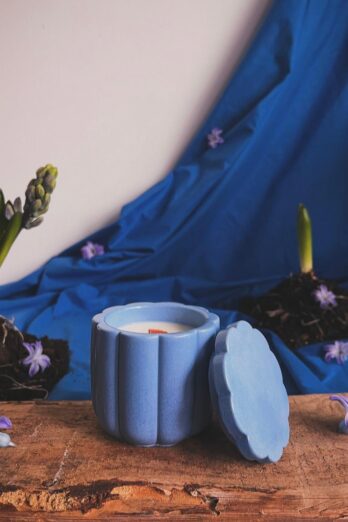 Zambile albastre-Blestemul ielelor